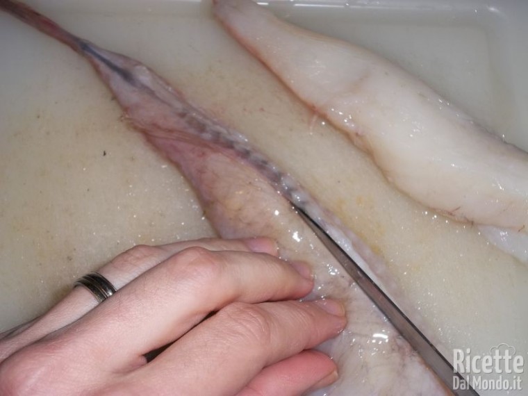 Come Pulire la Rana Pescatrice