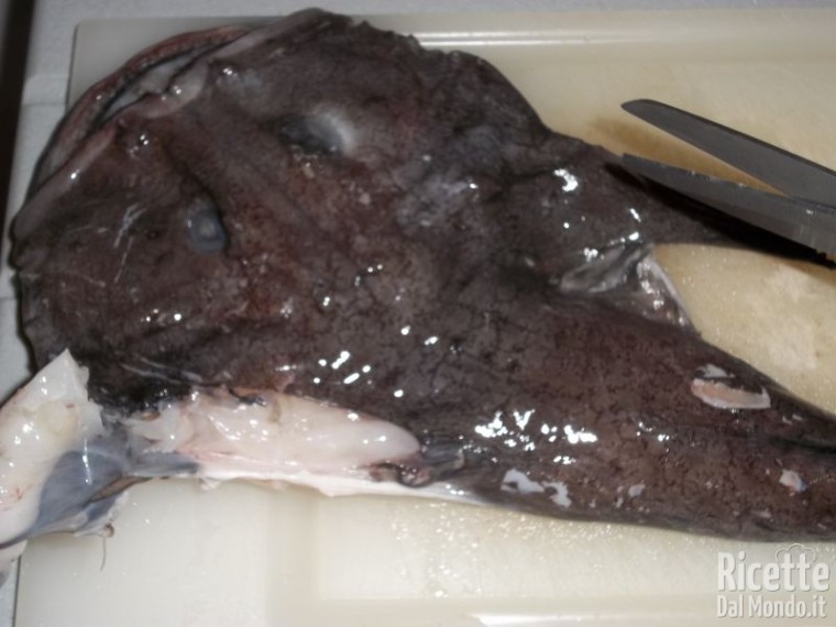 Come Pulire la Rana Pescatrice