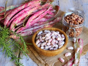 Ricetta Come pulire e cuocere i fagioli borlotti freschi